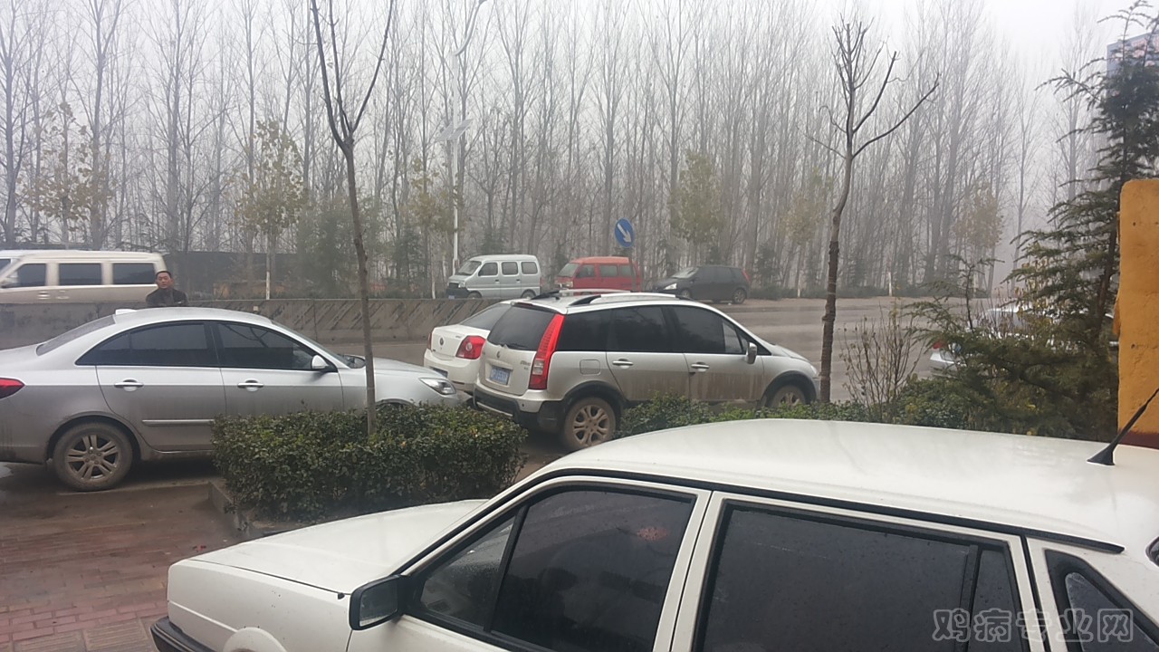 20141129_124226.jpg