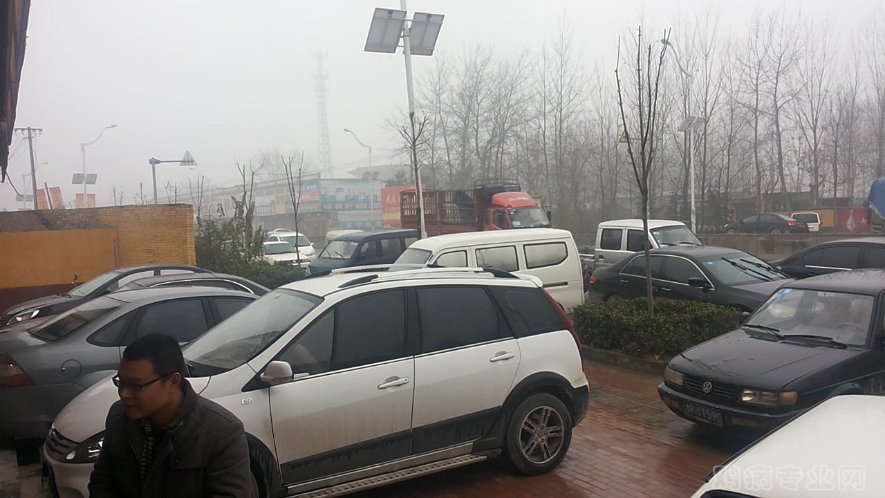 20141129_124206.jpg
