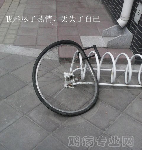 201469212444755_副本.jpg