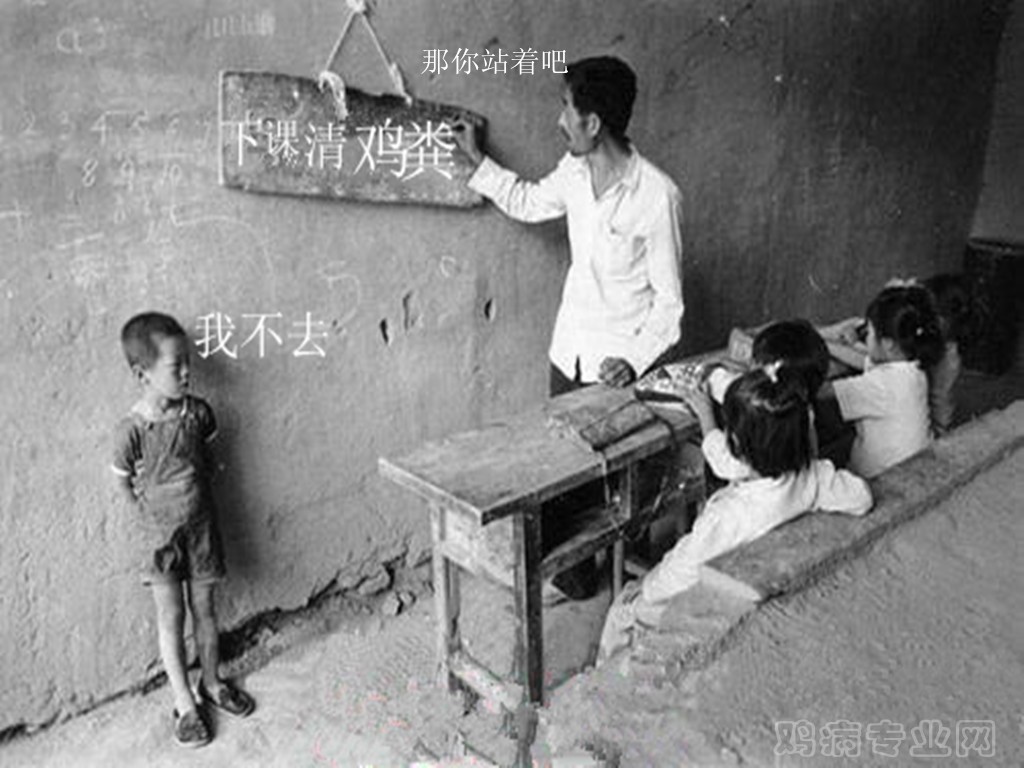 130106334287_副本.jpg