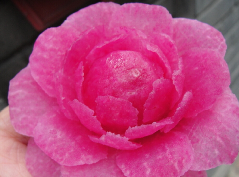 "心里美萝卜"盘饰