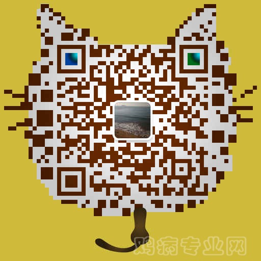 微信二维码