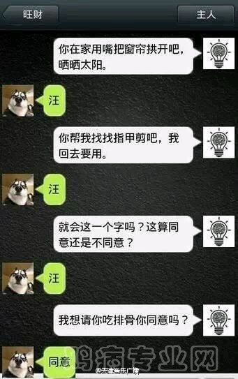 3ea16f061d950a7ba0ce71b709d162d9f3d3c977.jpg