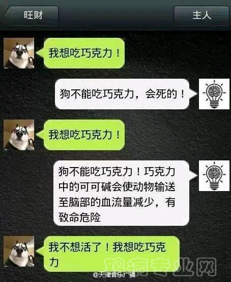 300ed833c895d143c18fdb5070f082025baf0774.jpg