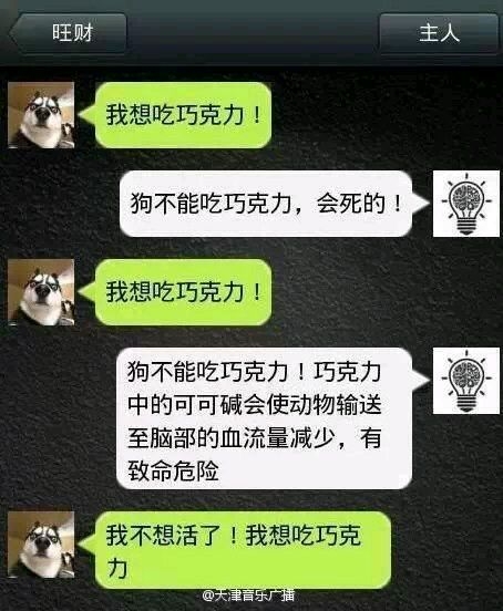 假如你家的狗会聊天