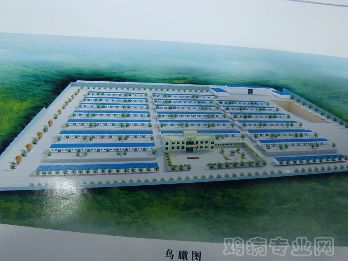 鸟览图.JPG