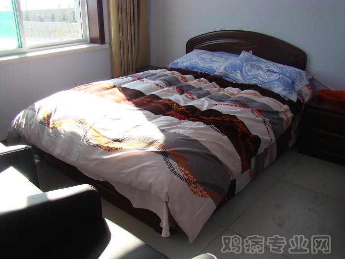 我的卧室2.JPG