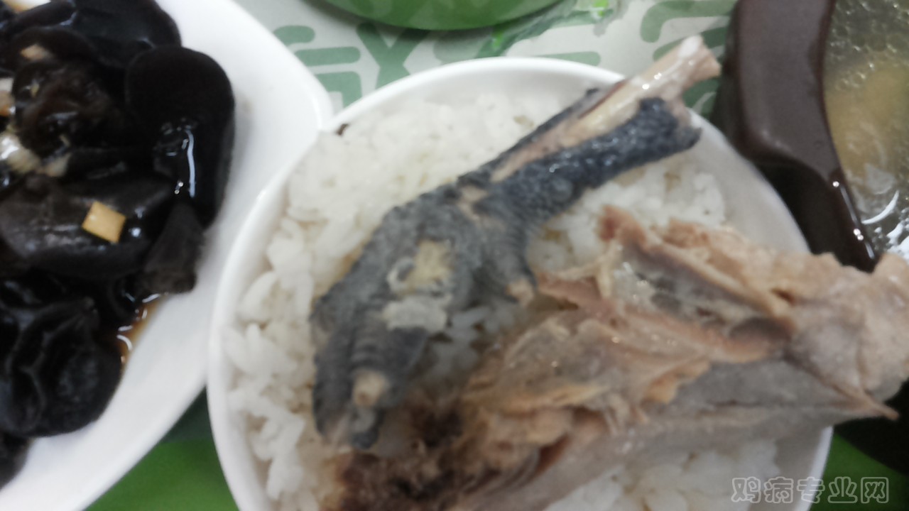 20150123_120256.jpg