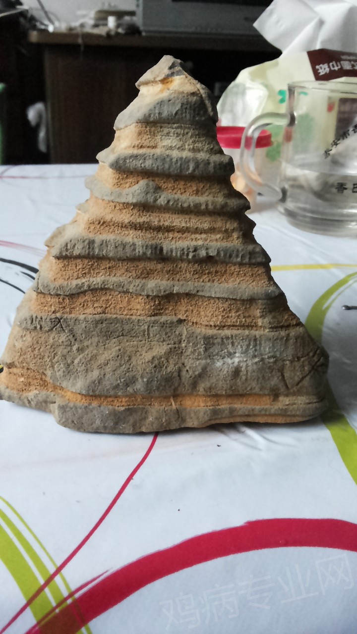 20150219_173110.jpg