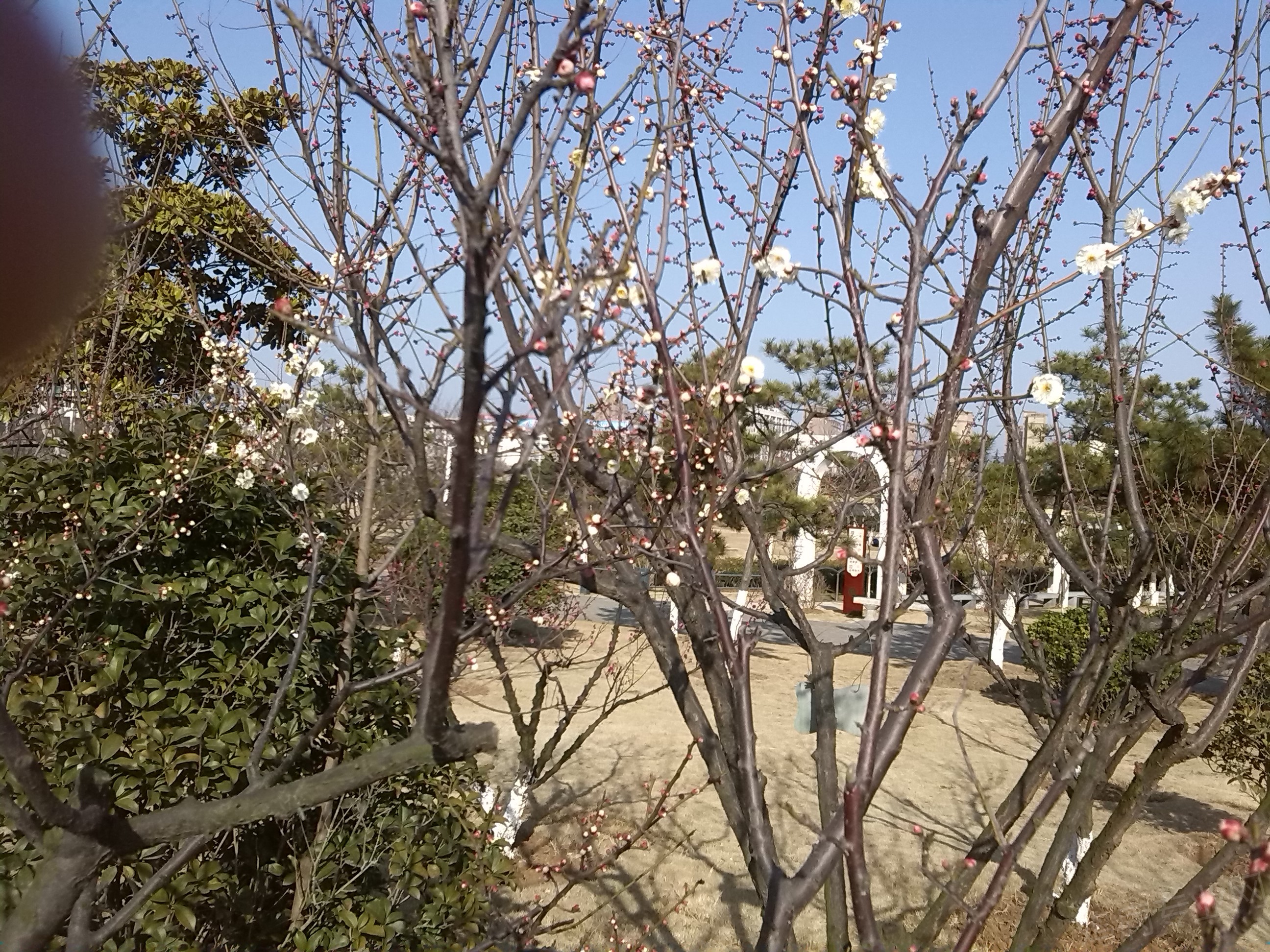 IMG_20150218_151339.jpg