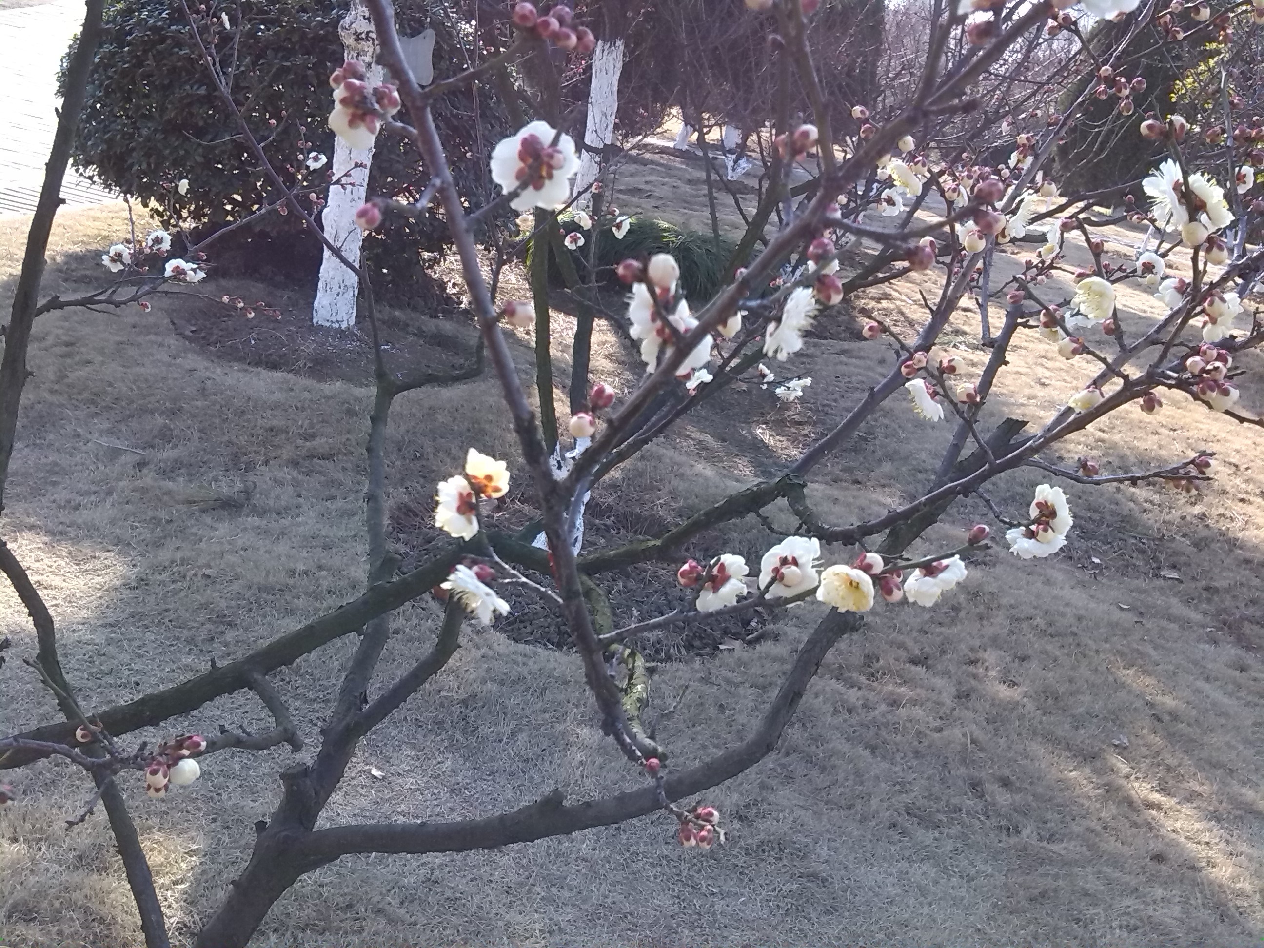 IMG_20150218_151453.jpg