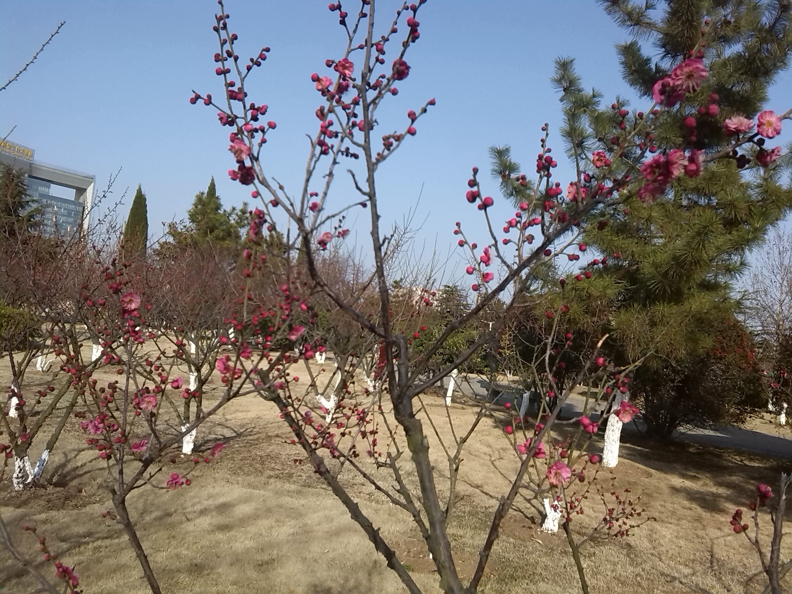 IMG_20150218_151826.jpg