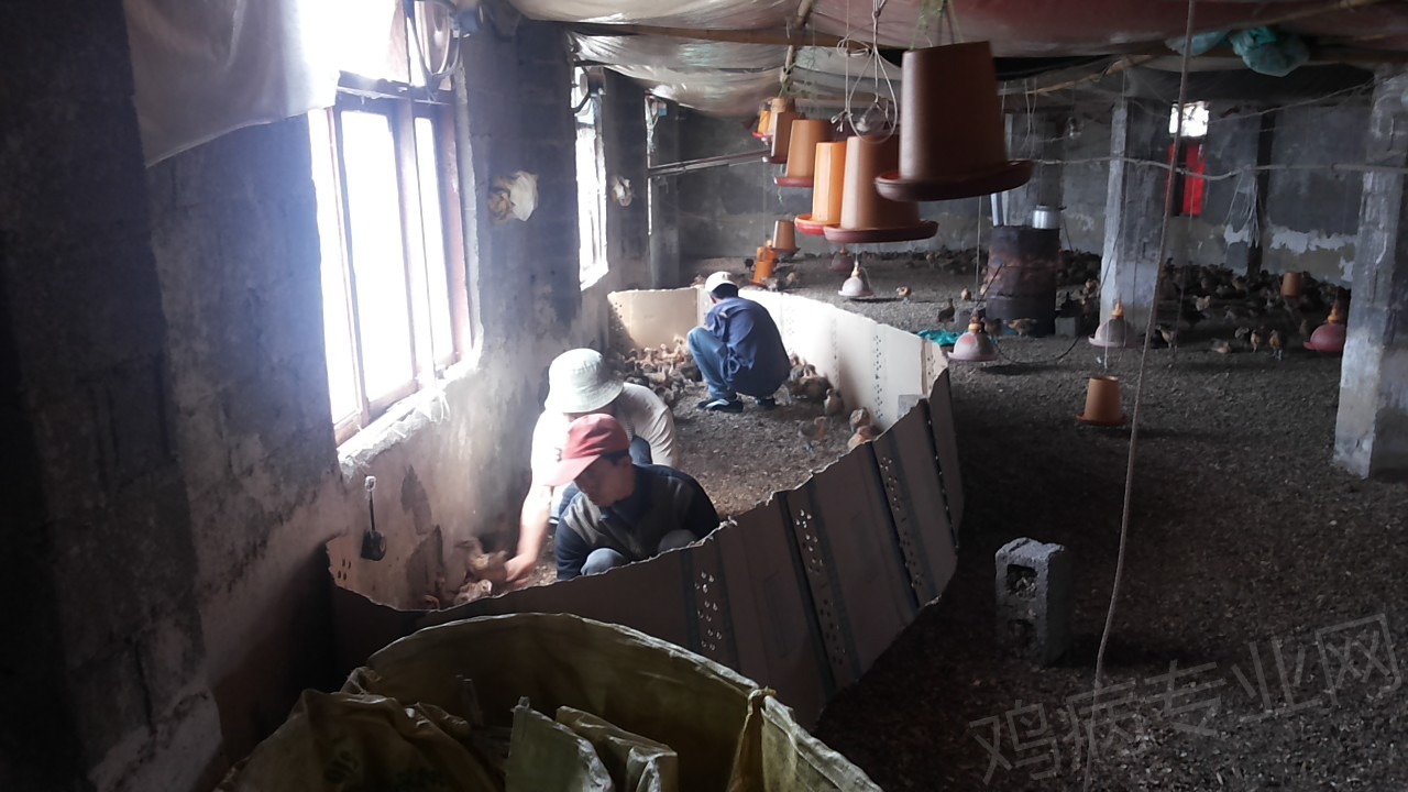 20150331_103627.jpg
