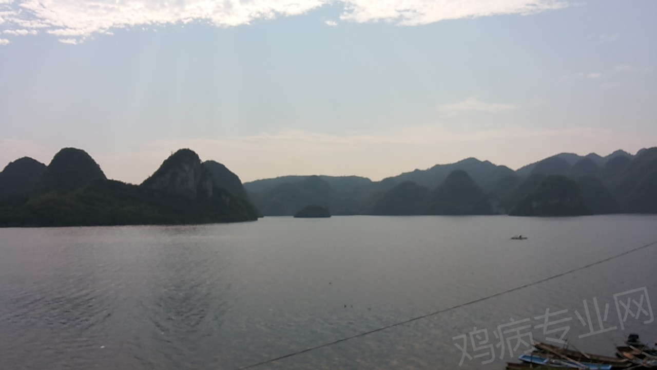 20150401_092359.jpg