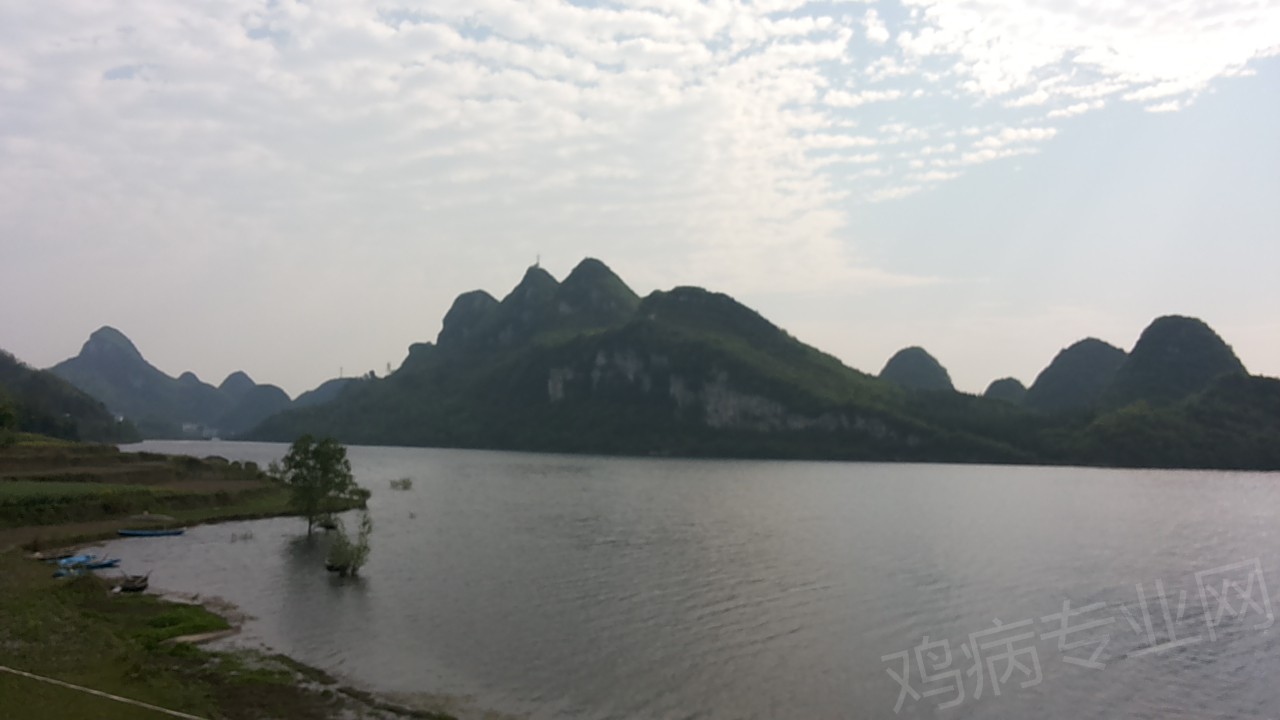 20150401_092354.jpg