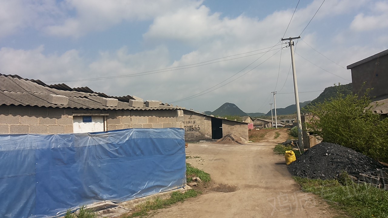 20150331_101122.jpg