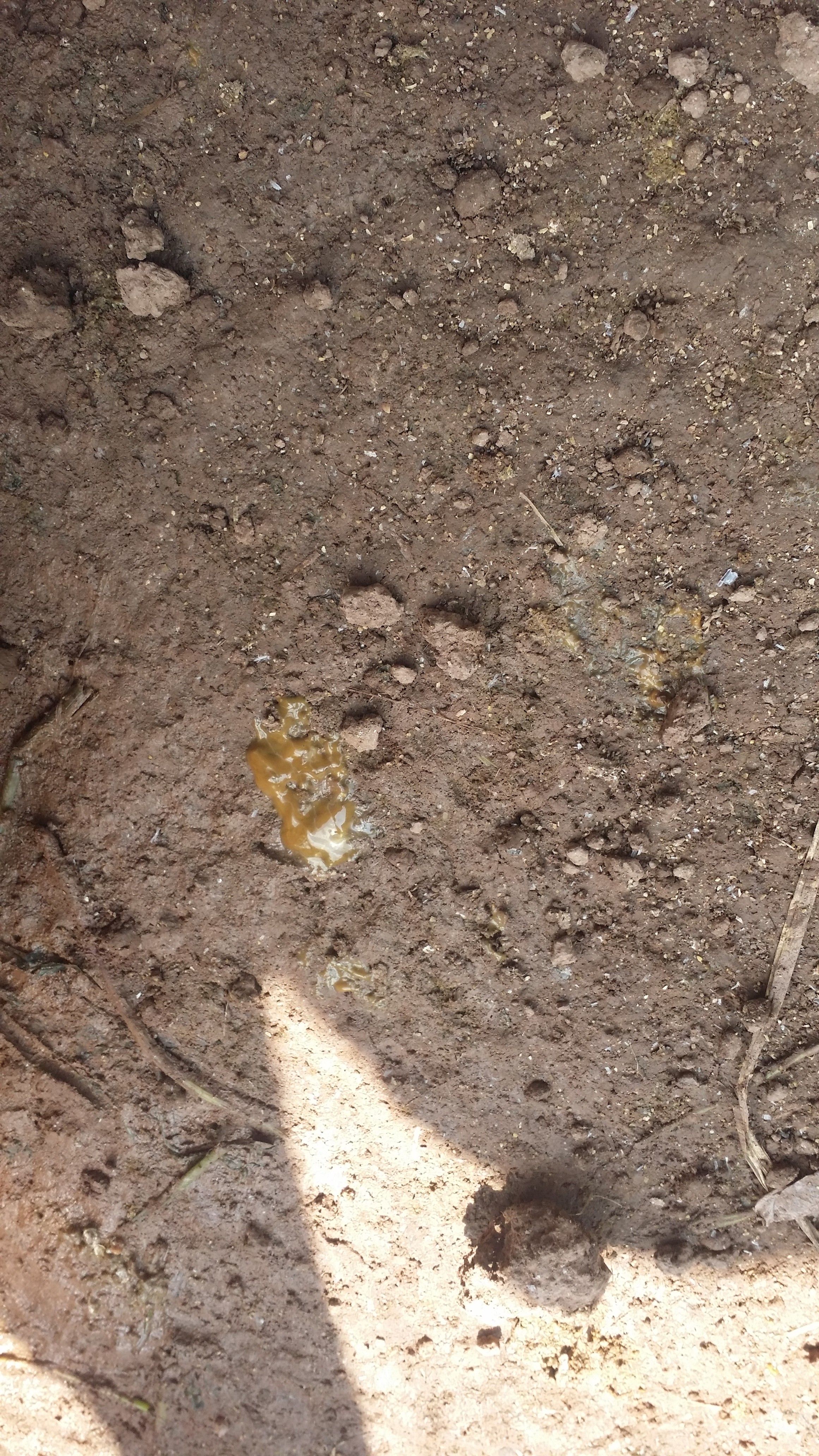 20150530_145457.jpg