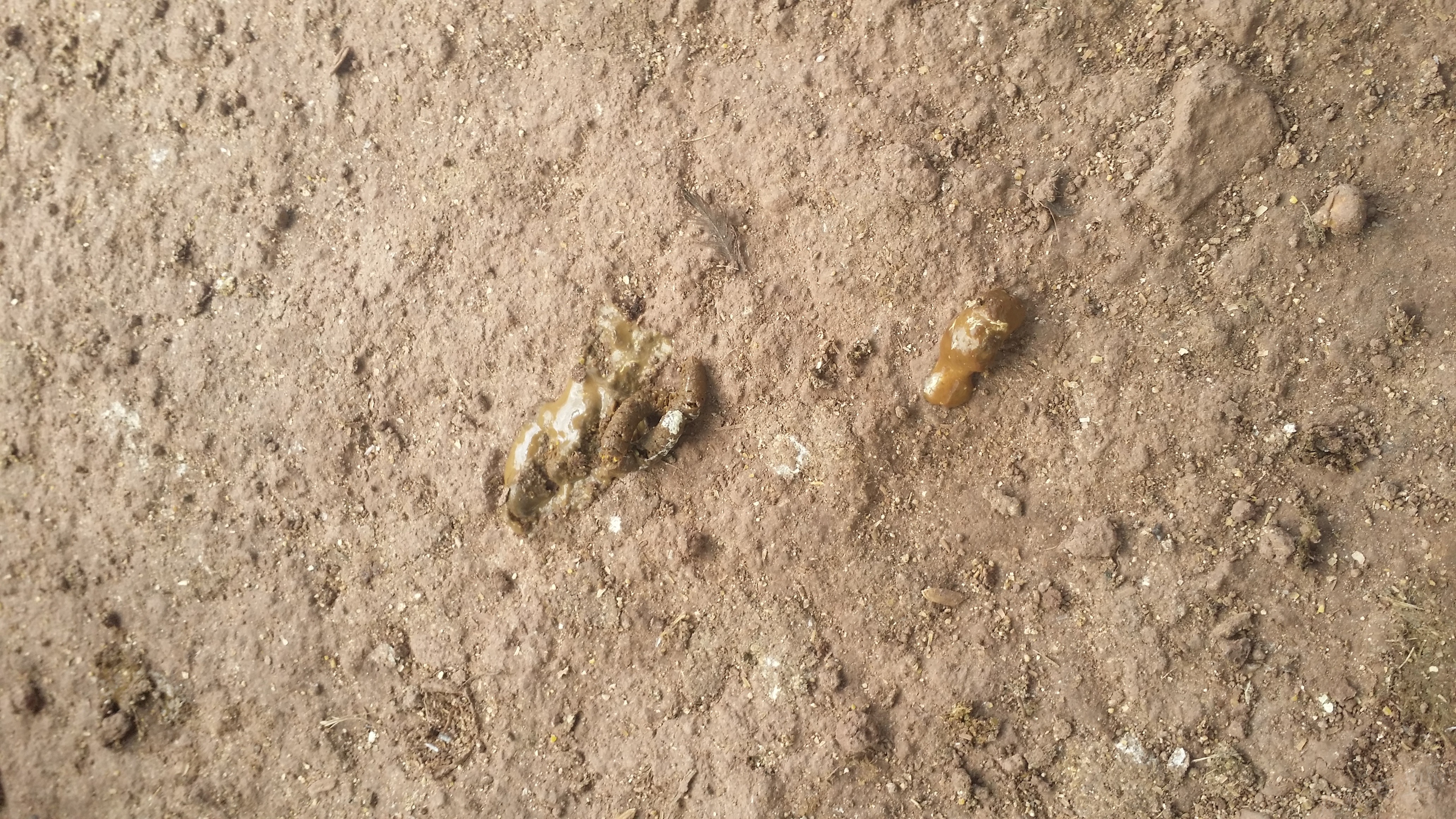 20150530_145520.jpg