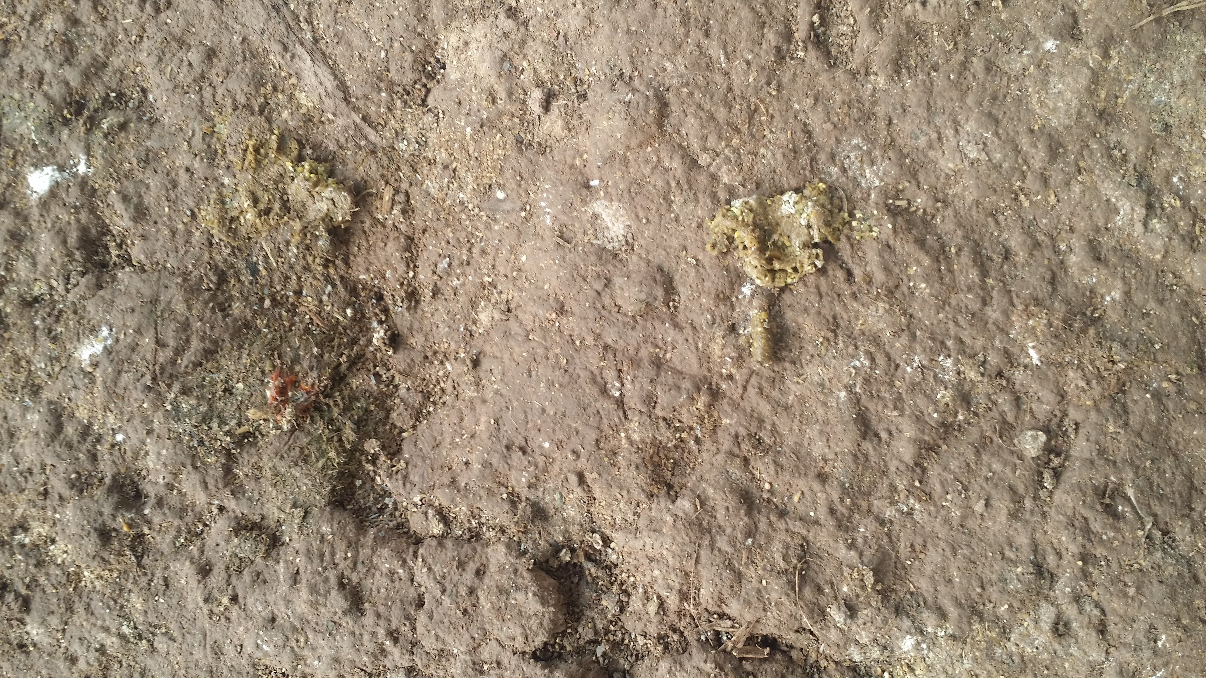 20150530_145550.jpg