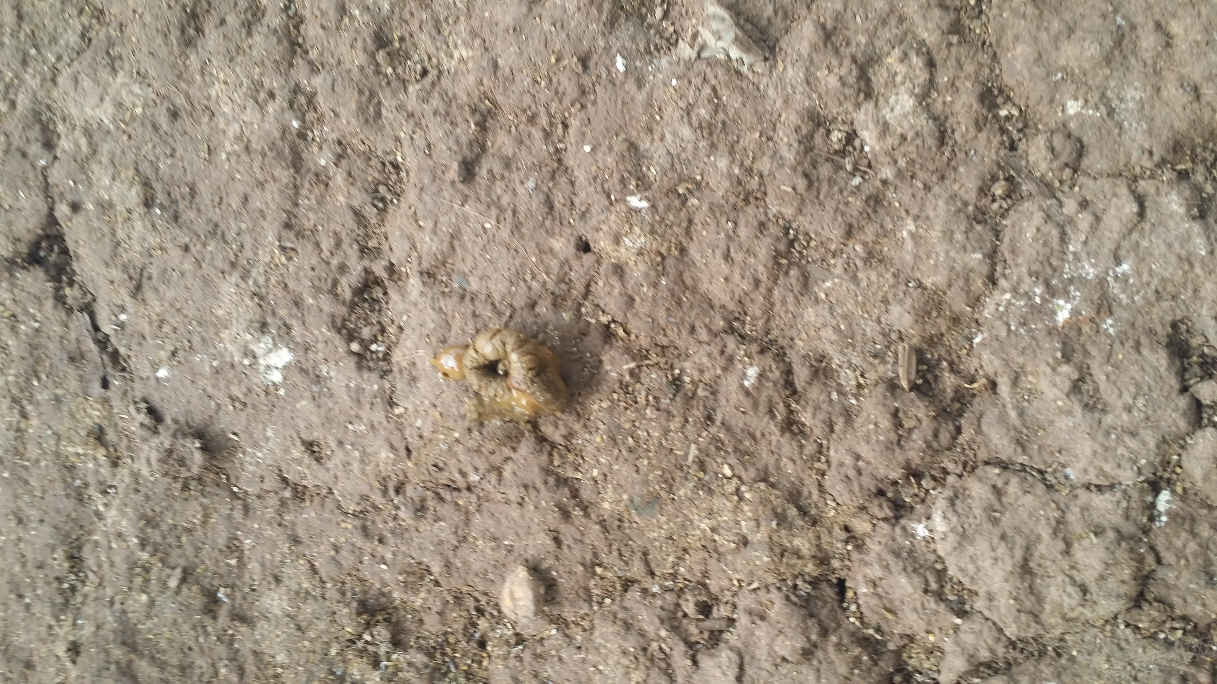 20150530_145554.jpg