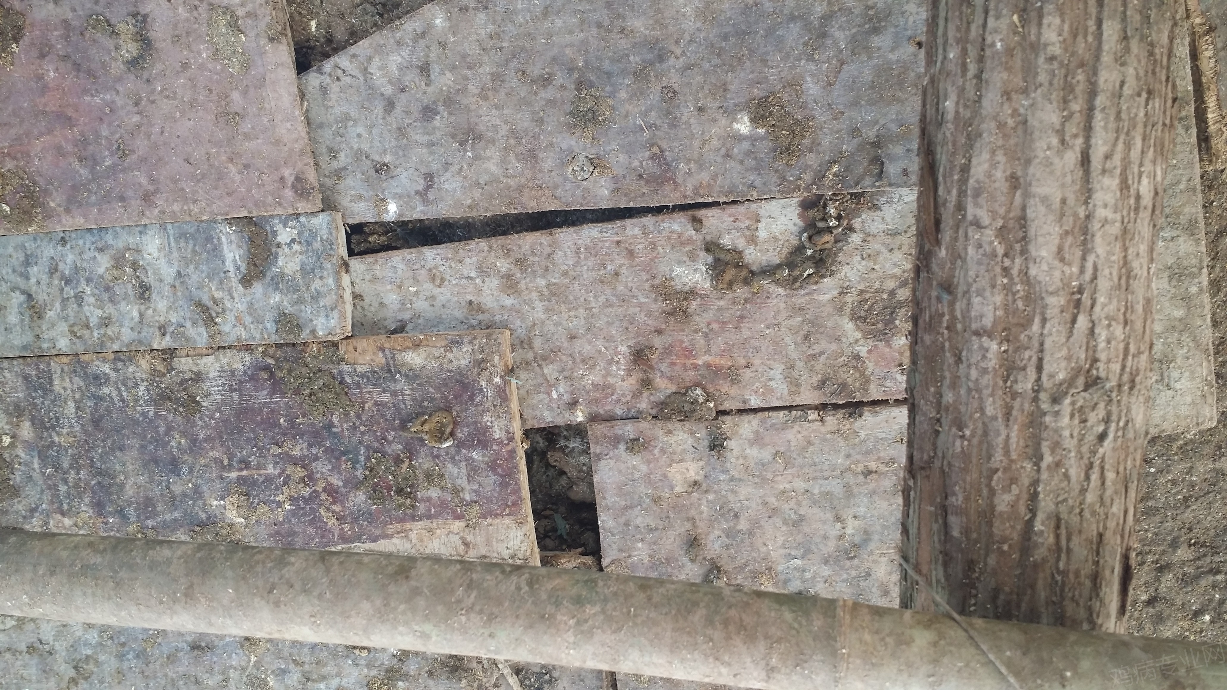 20150530_145650.jpg