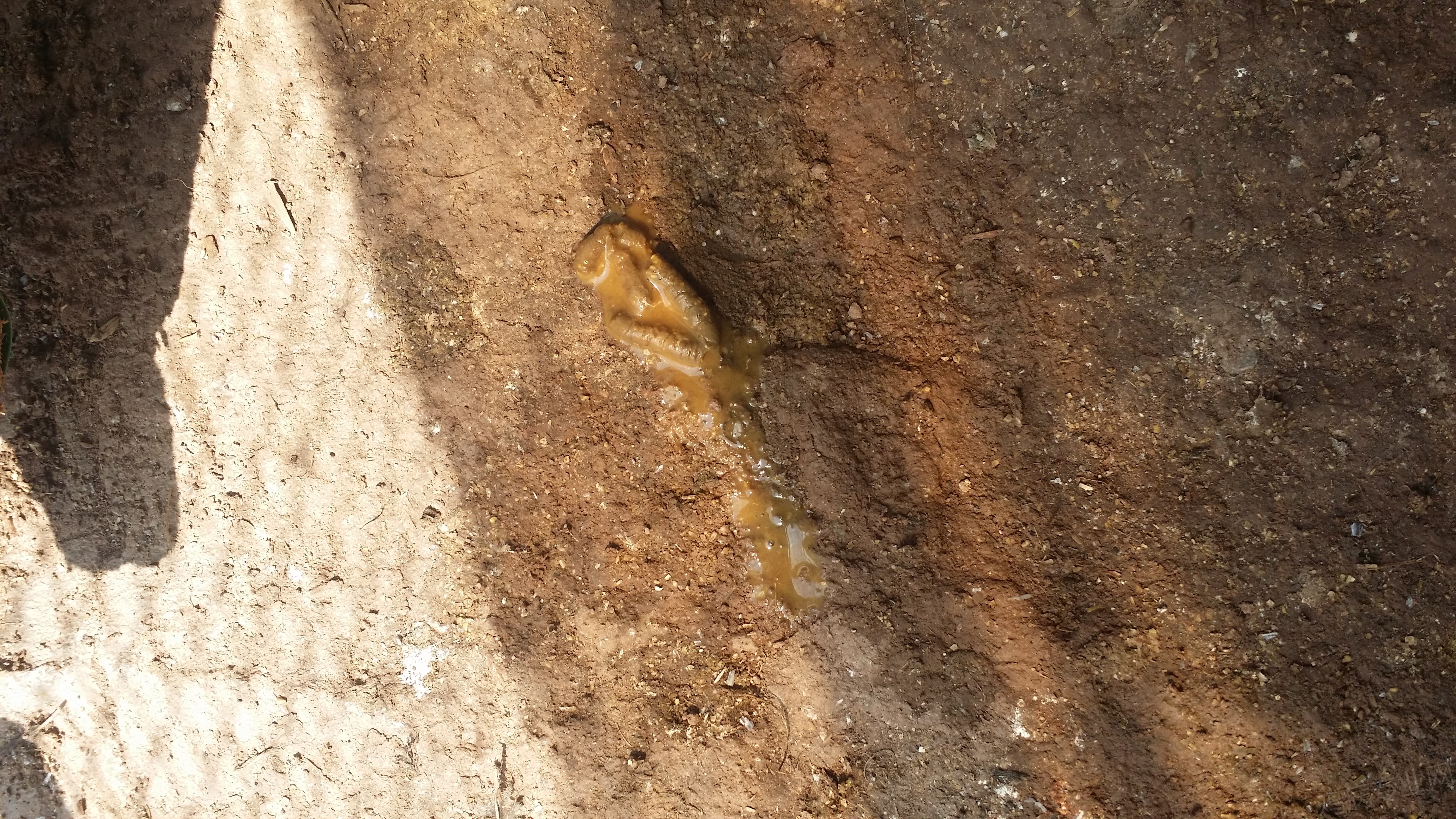 20150530_145659.jpg