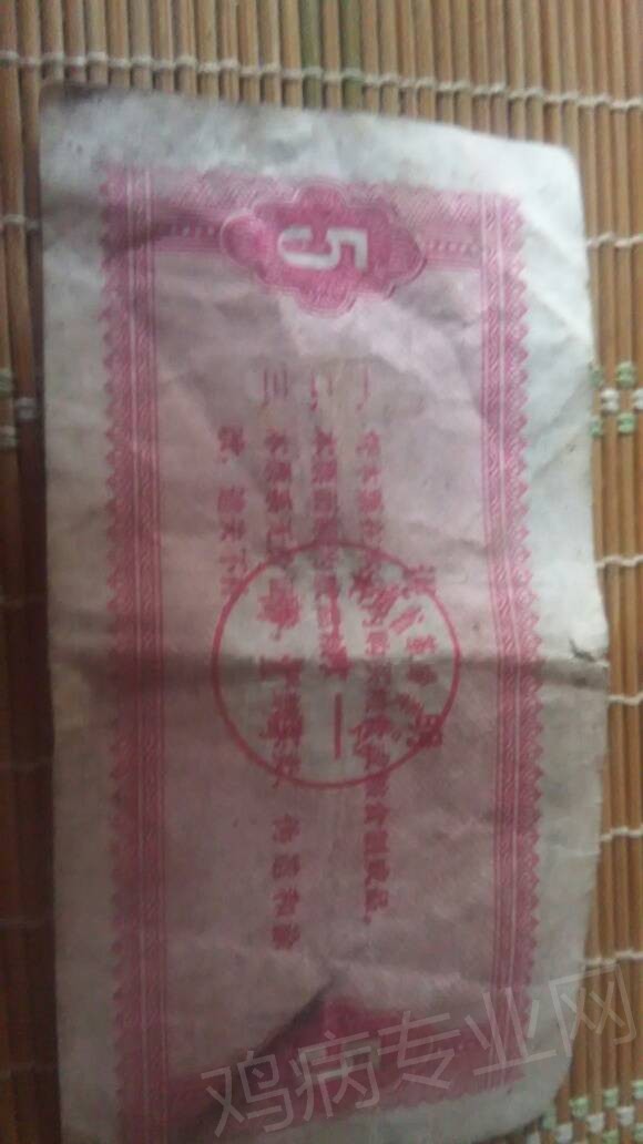 175155q5lkvyyeaj5aj1yb.jpg
