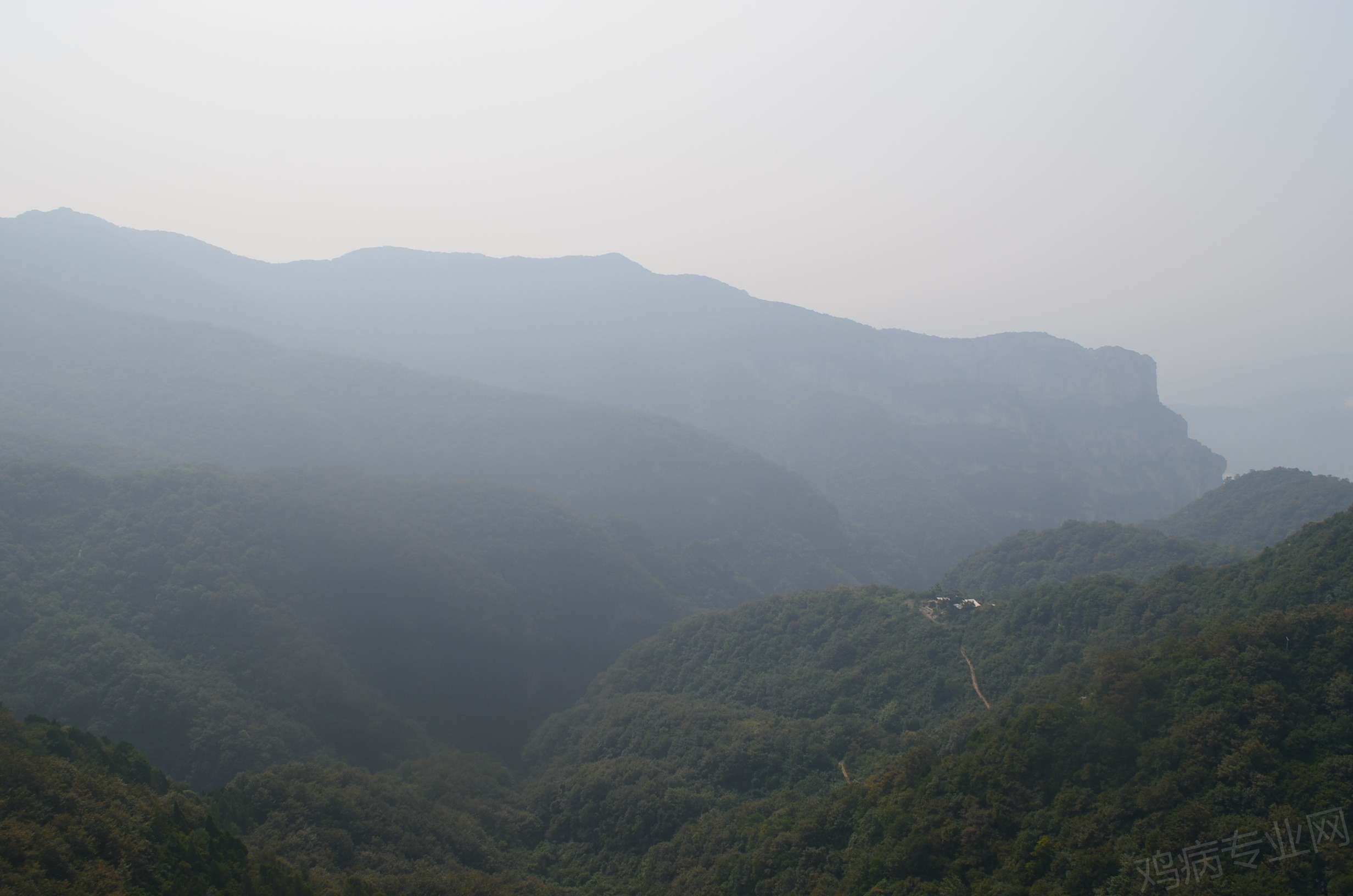 DSC_0351.JPG