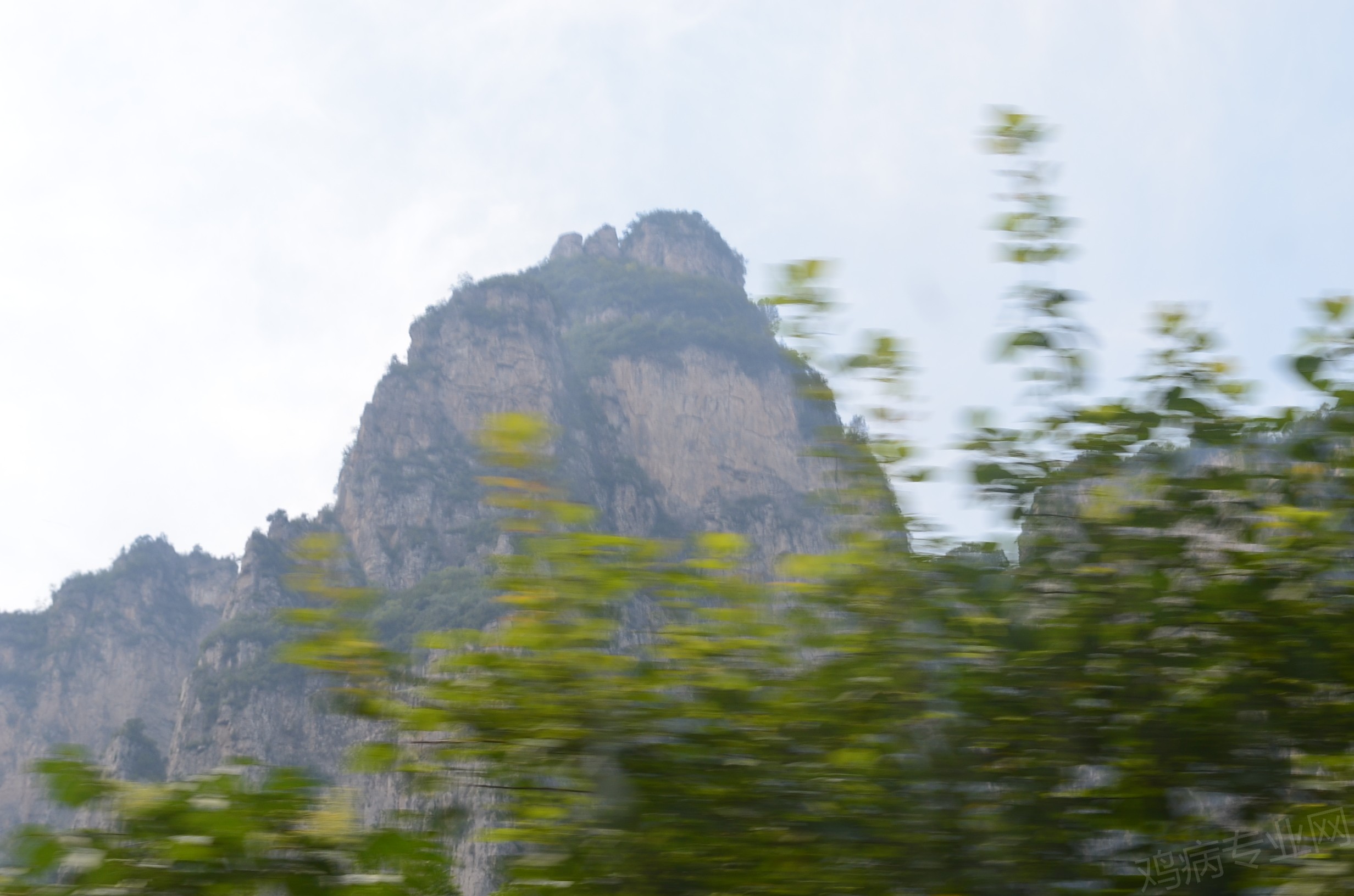 DSC_0372.JPG