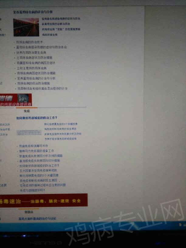 094630io2t21h4htv48947.jpg