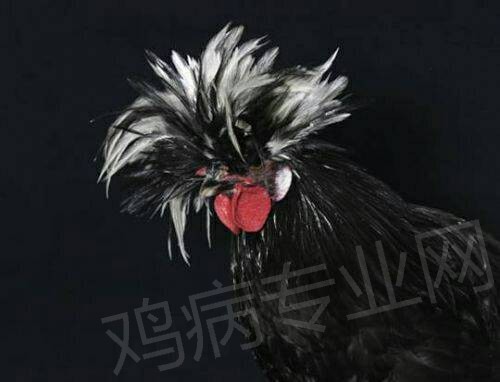 185003h3azybd7ntv84ite.jpg
