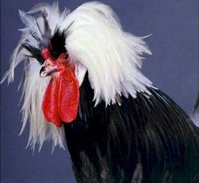 185003kweeeyrwwmy90ys9.jpg