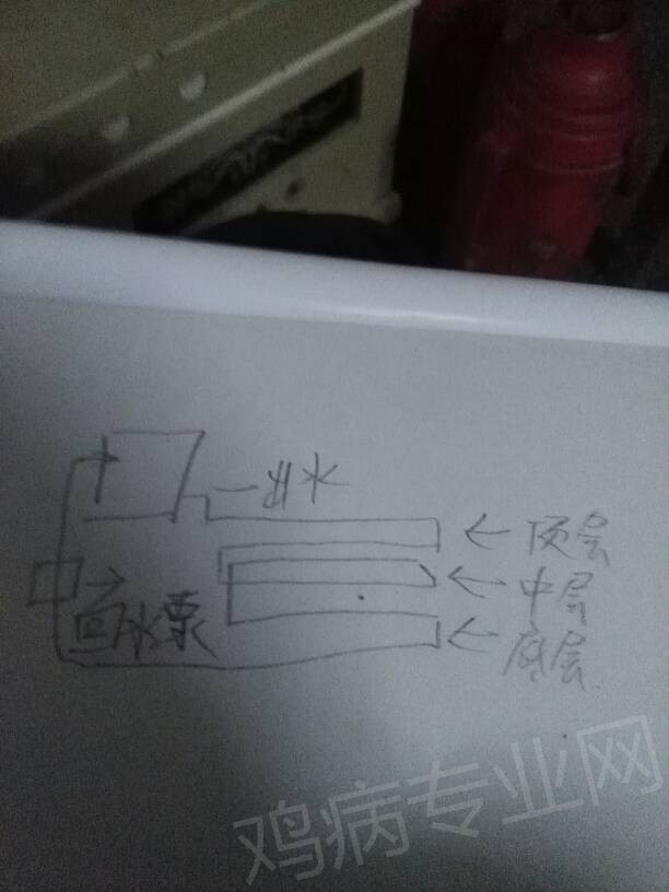 185239yk64vyyymeafqtsk.jpg