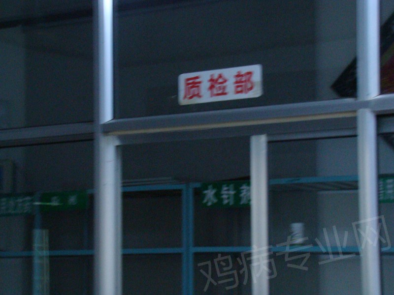 13.JPG