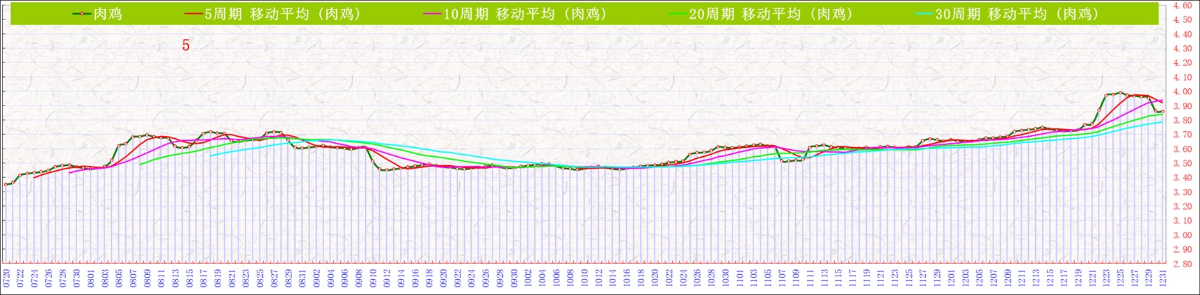 A�⼦     2025.jpg
