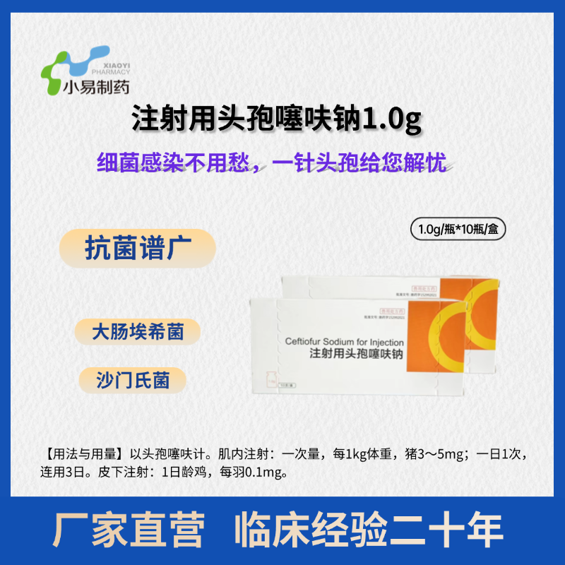 18.����ͷ����ͼ (1).png