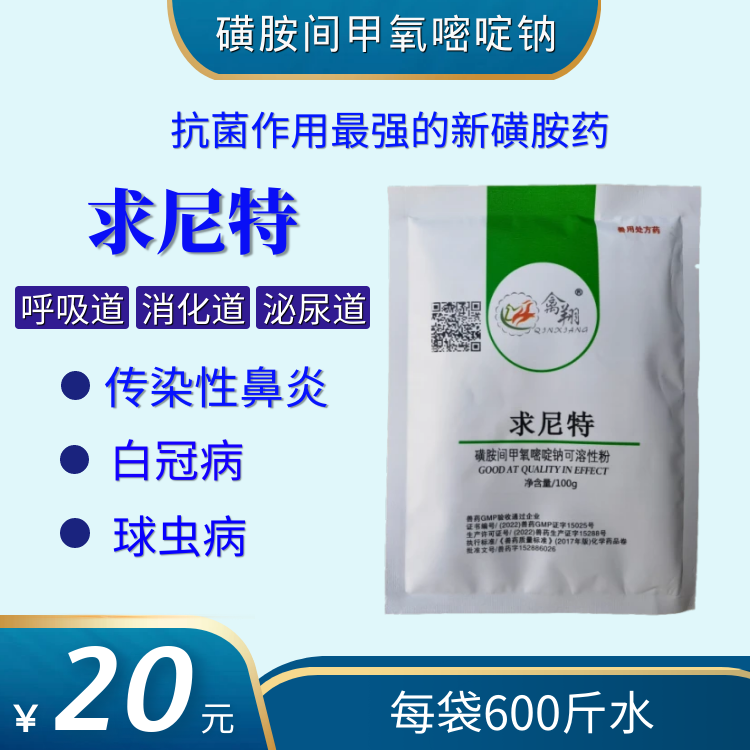 ������ ����.png