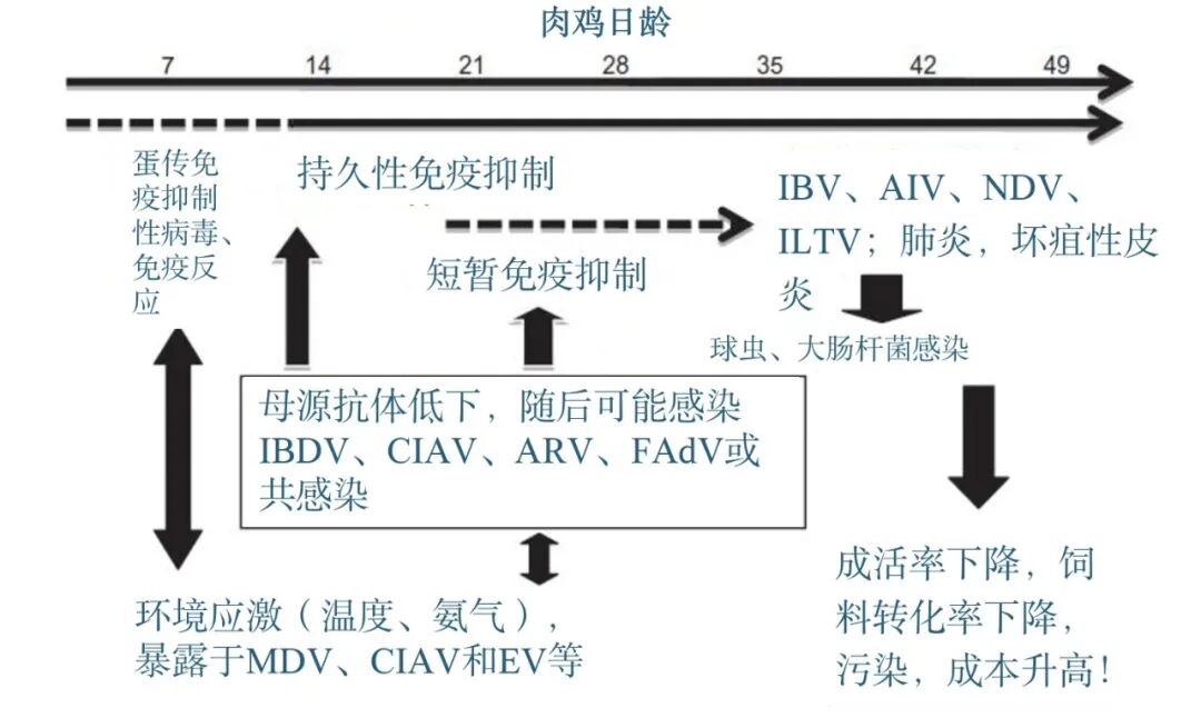 qw5.jpg