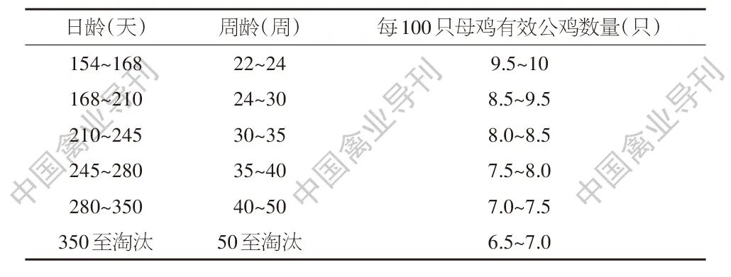 qw5.jpg