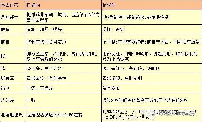 qw4.jpg