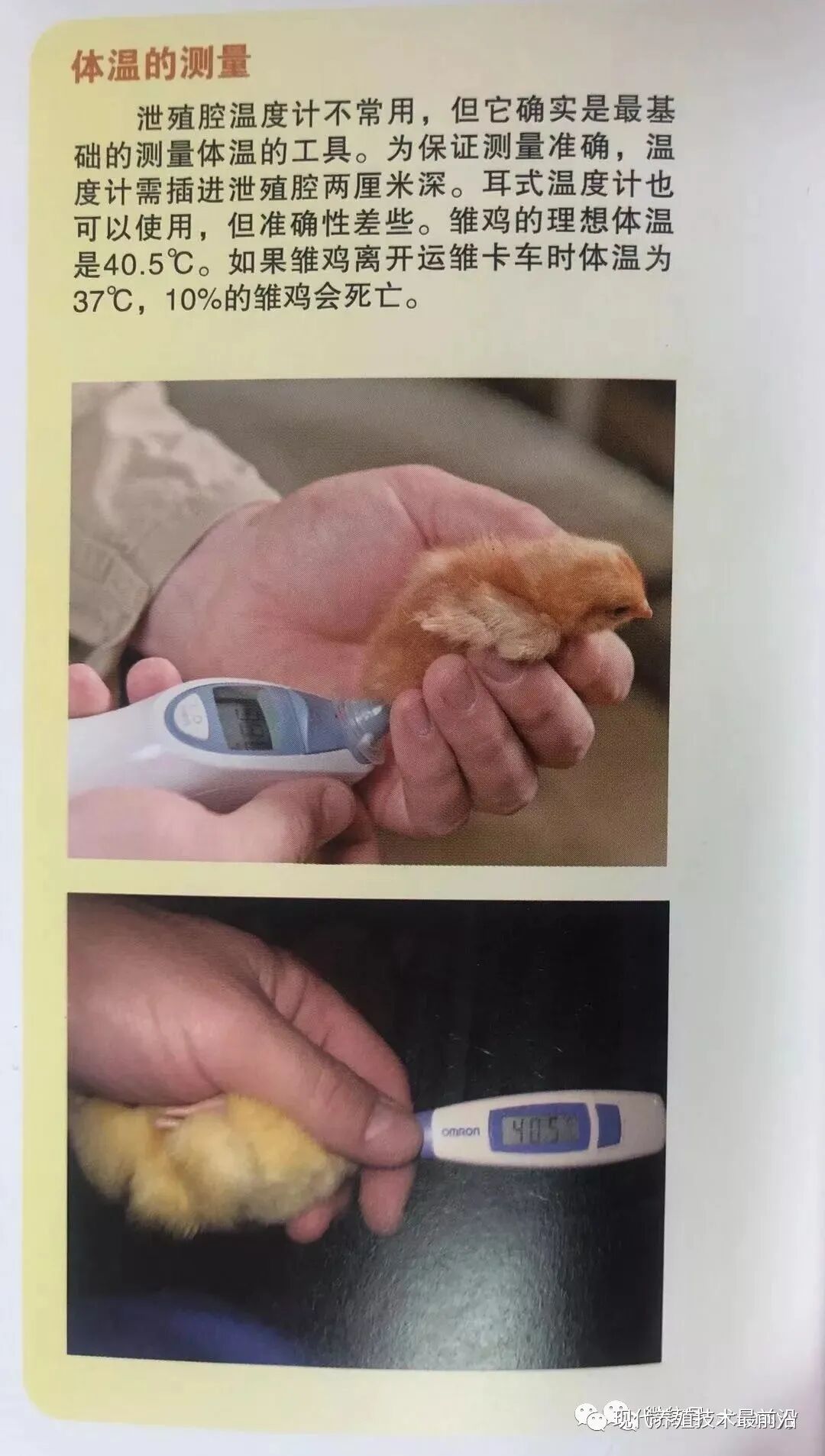 qw7.jpg