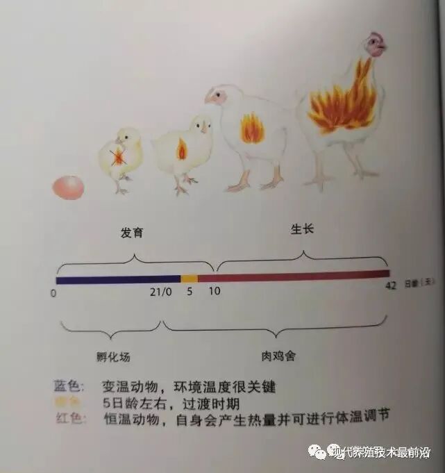 qw11.jpg
