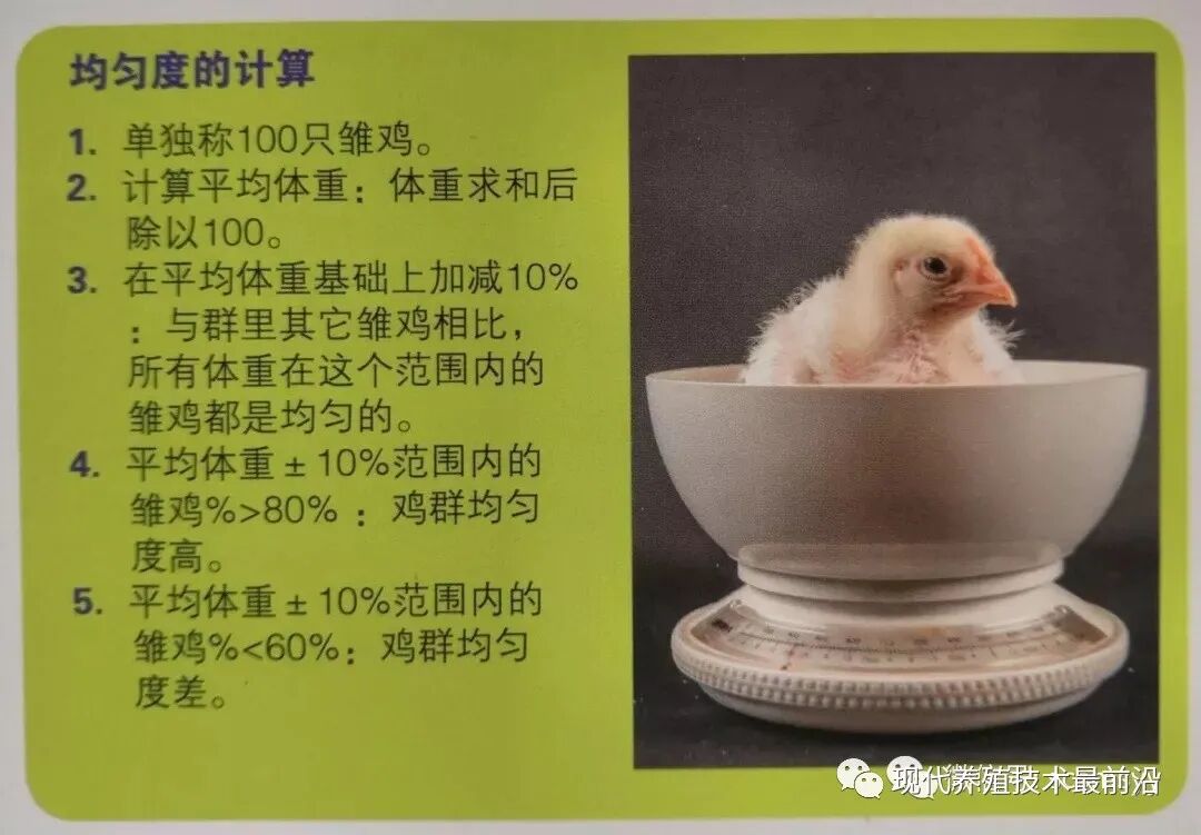 qw19.jpg