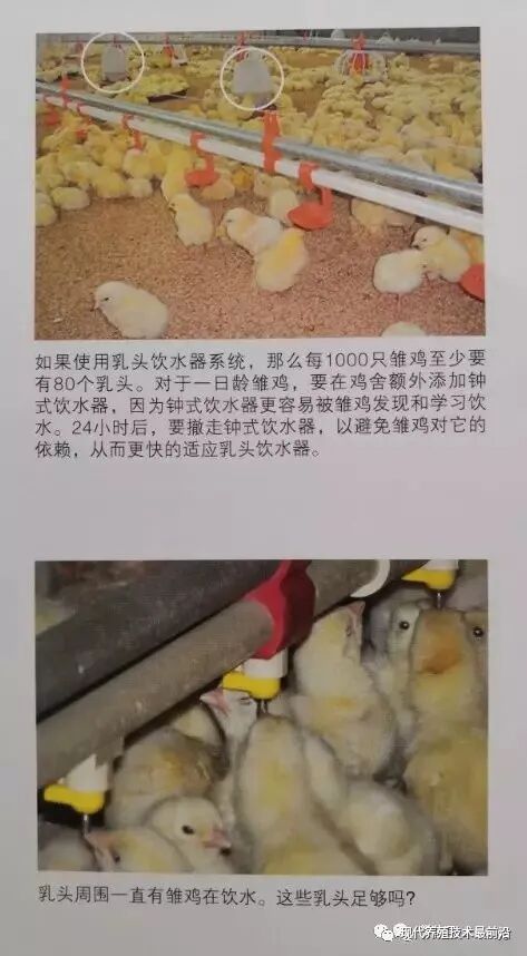 qw16.jpg