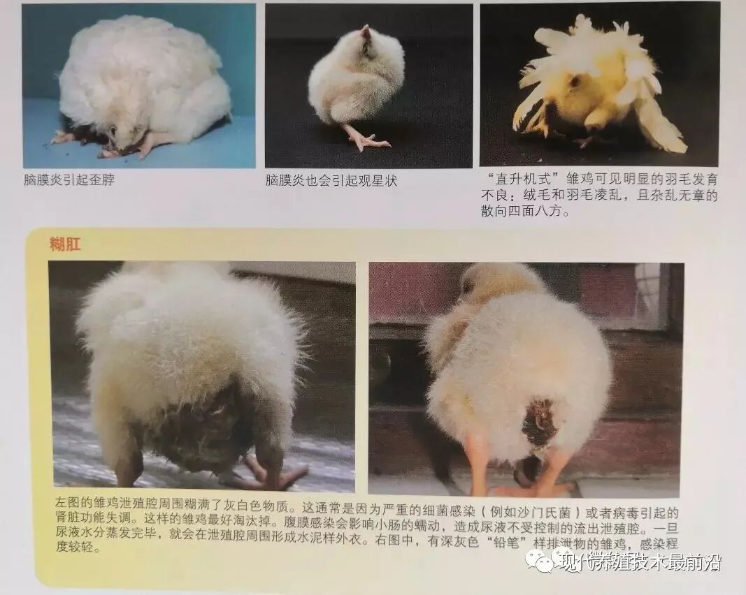 qw25.jpg