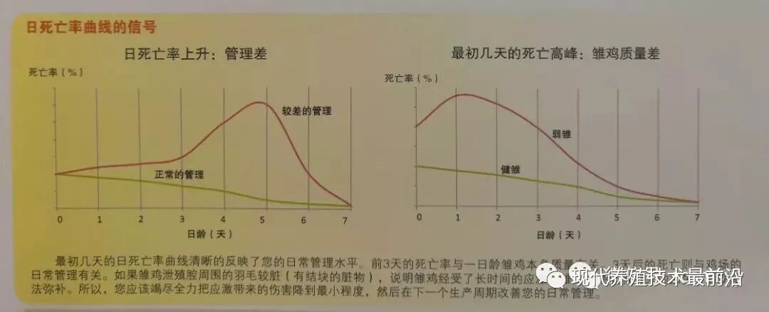 qw26.jpg