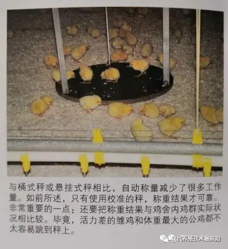 qw21.jpg