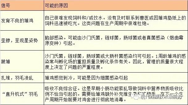 qw24.jpg