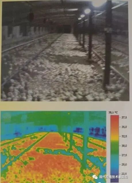 qw17.jpg