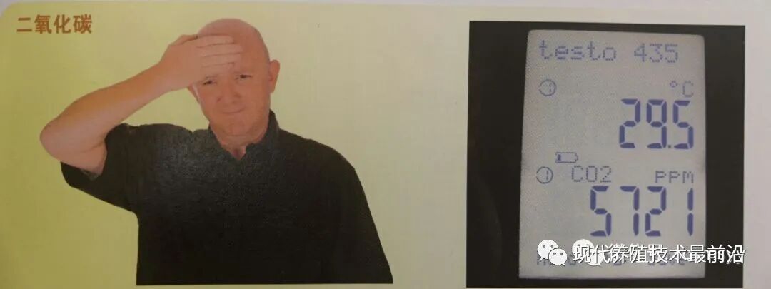 qw21.jpg